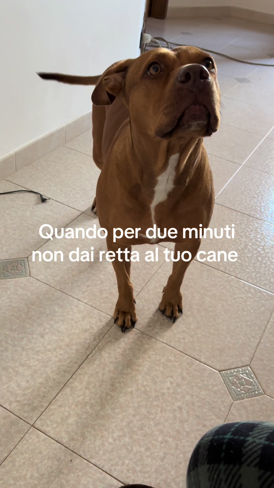 @Chiara Patanè