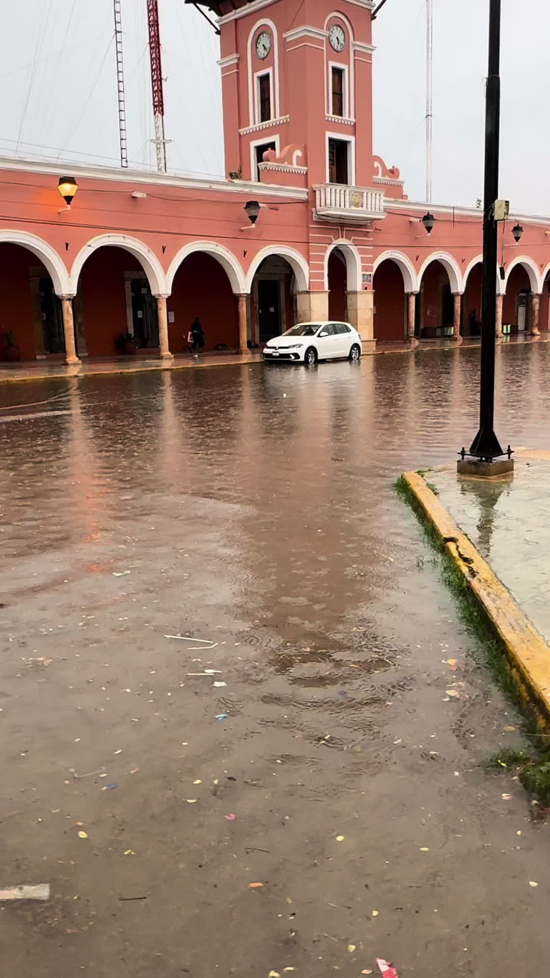 @MANUEL PEREYRA