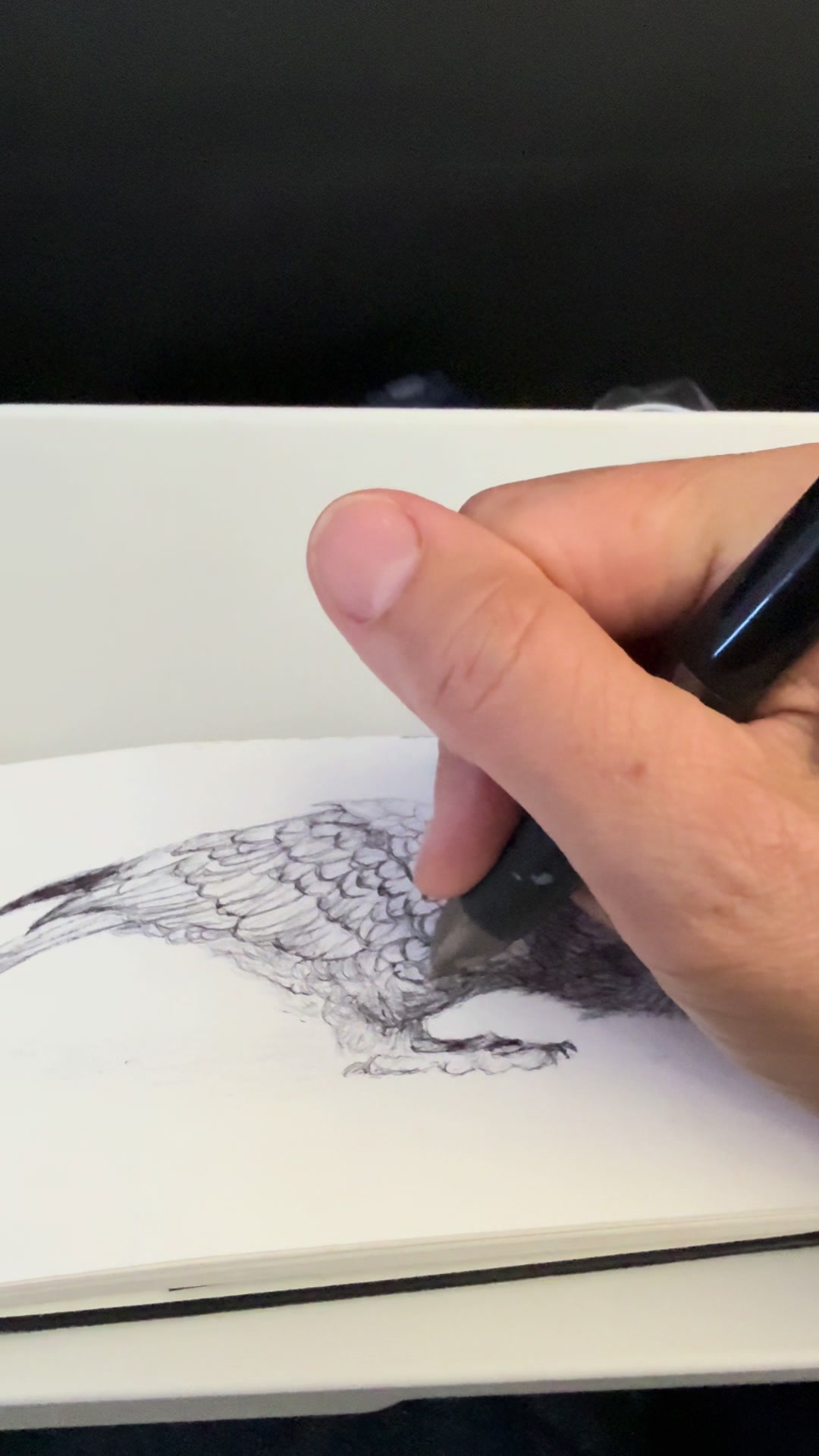@amydevlinart