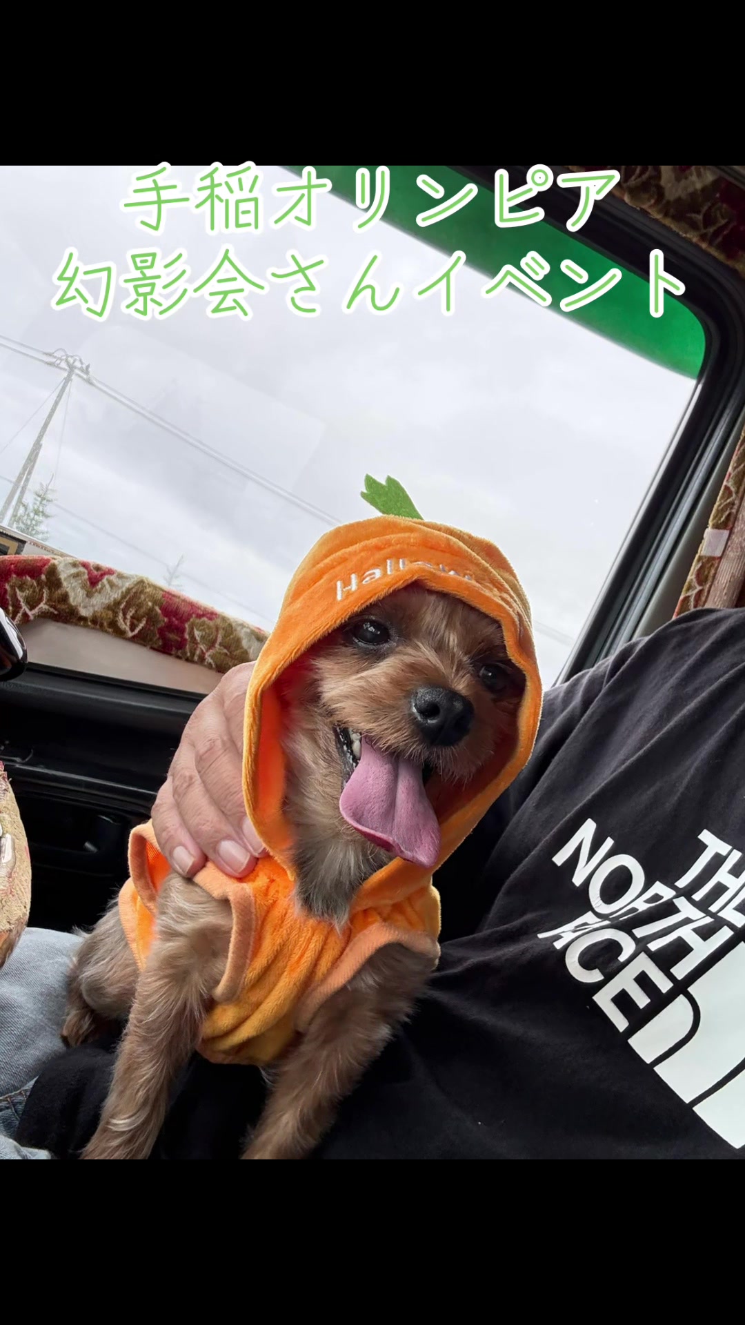 @ðžåã®ã«ãªã¹ãæ¡äžžðž