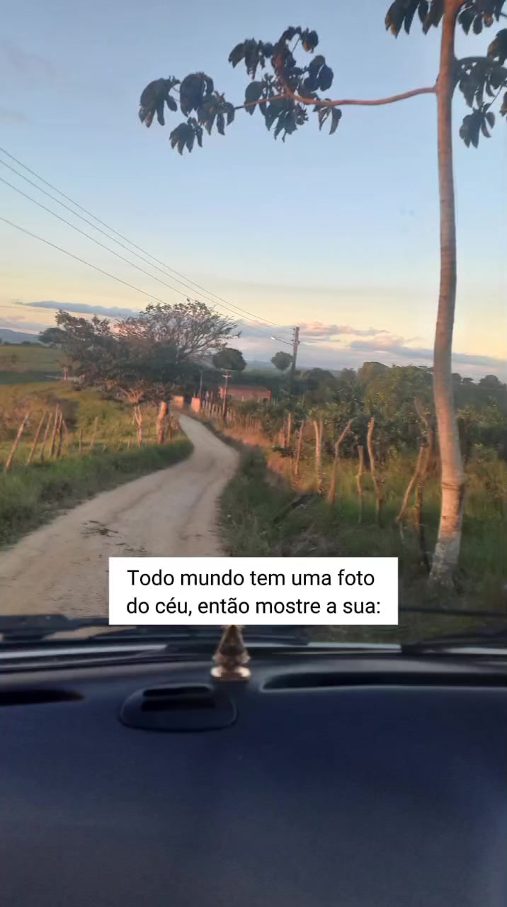 @Maria Betânia