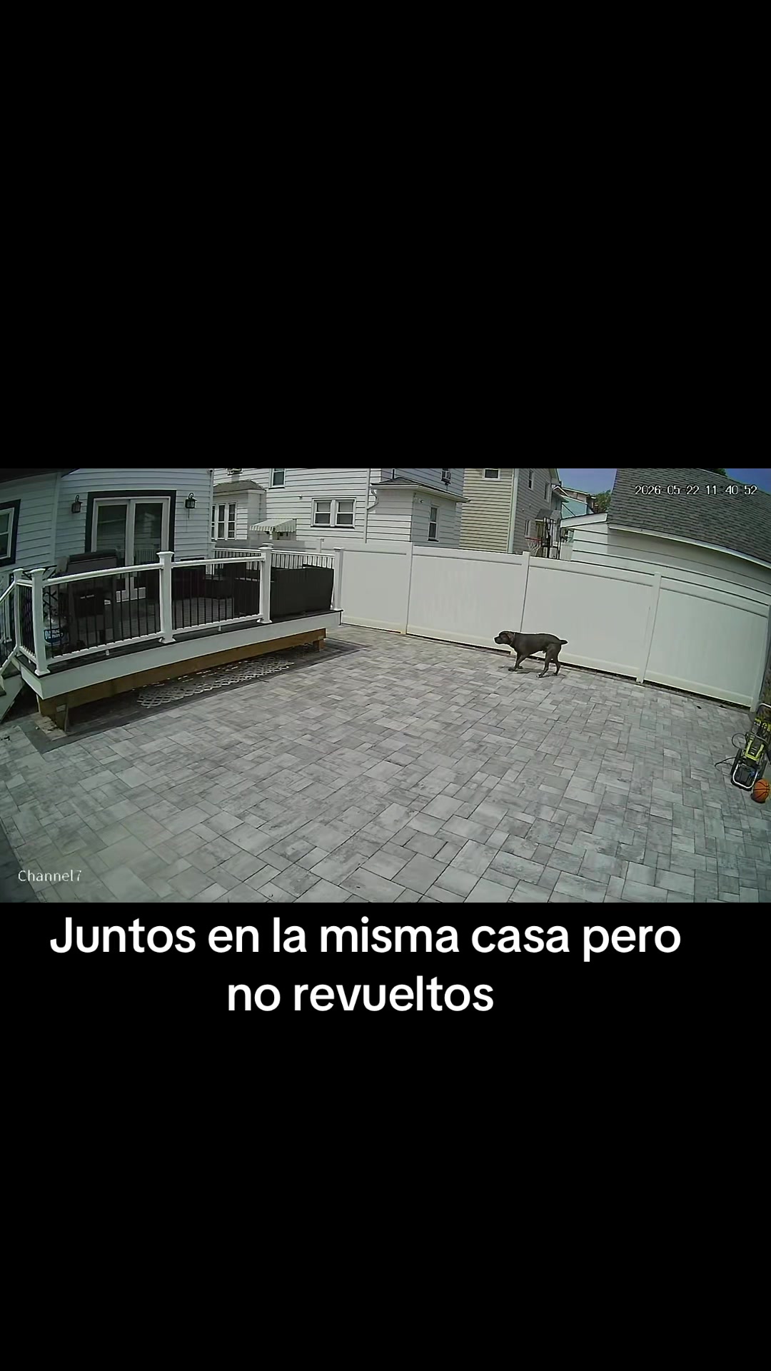@Familiaperrunakiaraydefter