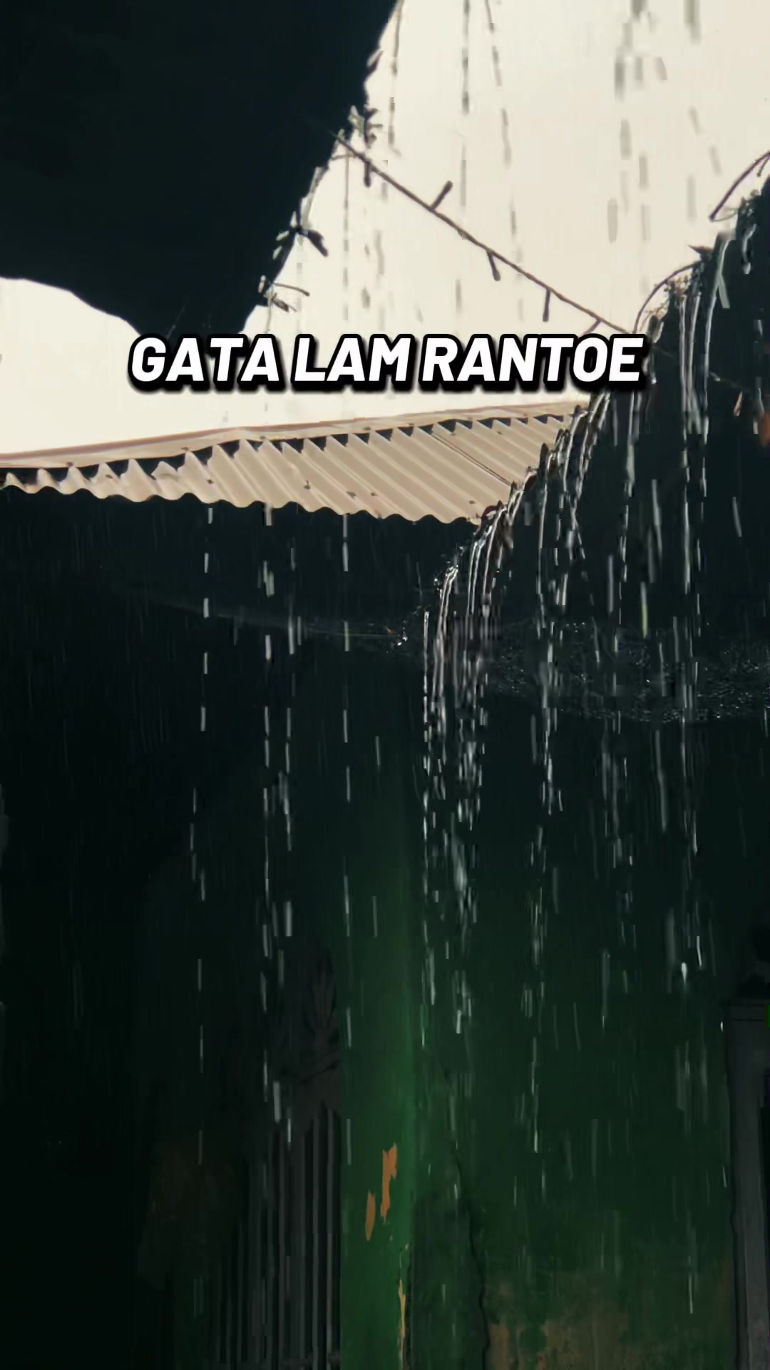 @Wanda & raff
