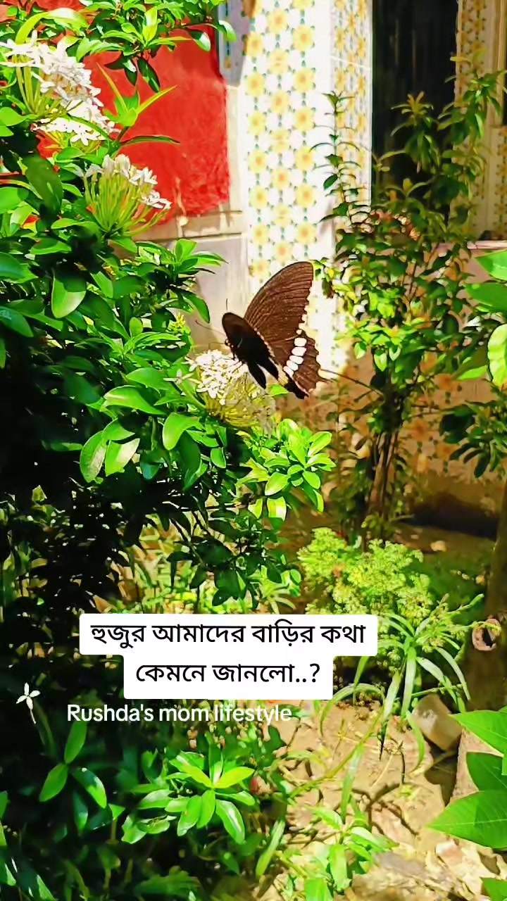 @🇲🇾 রুশদার আম্মু ✈️