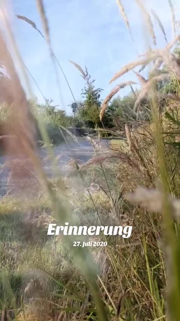 @Nicole❤️Schröder🖤Kowalski ❤️