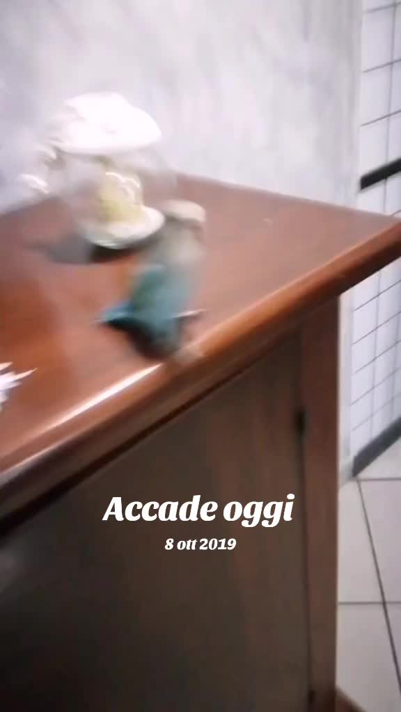 @Samantha Boccia