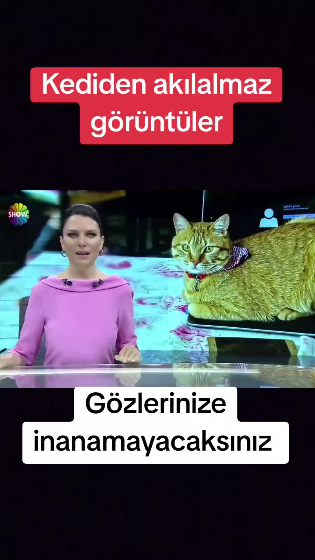 @🌐News_Blitz🌐