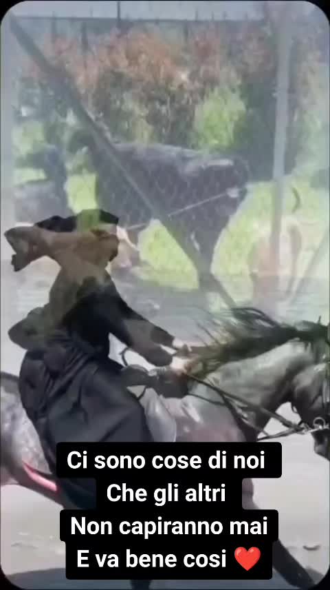 @ANIMALISTI DI FROSINONE