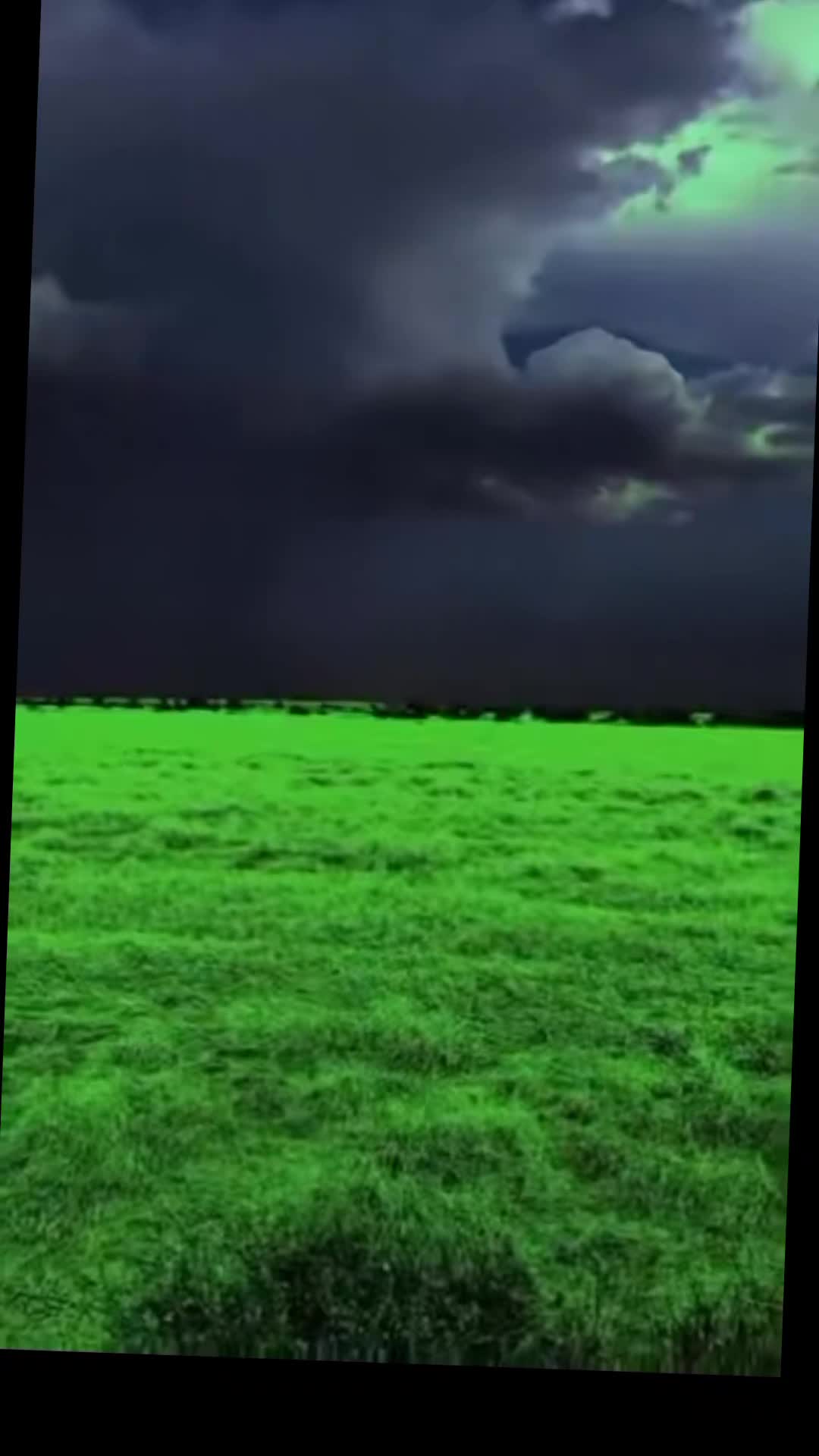 @🪶قلب 🫶 الغزال 🐎