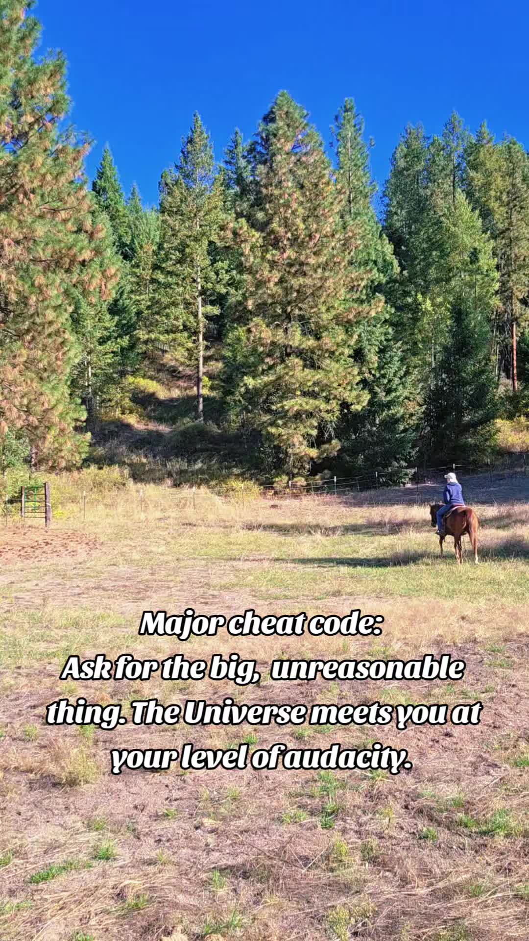 @🐴 ColdMountainRanch 🏇