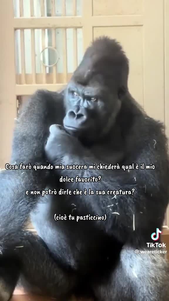 @Veronica pulvirenti