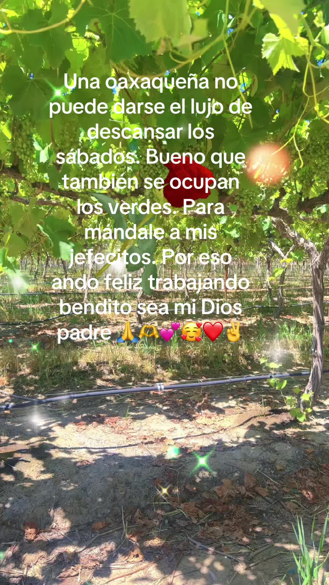 @Chaparritalaoaxaqueña💕🫶