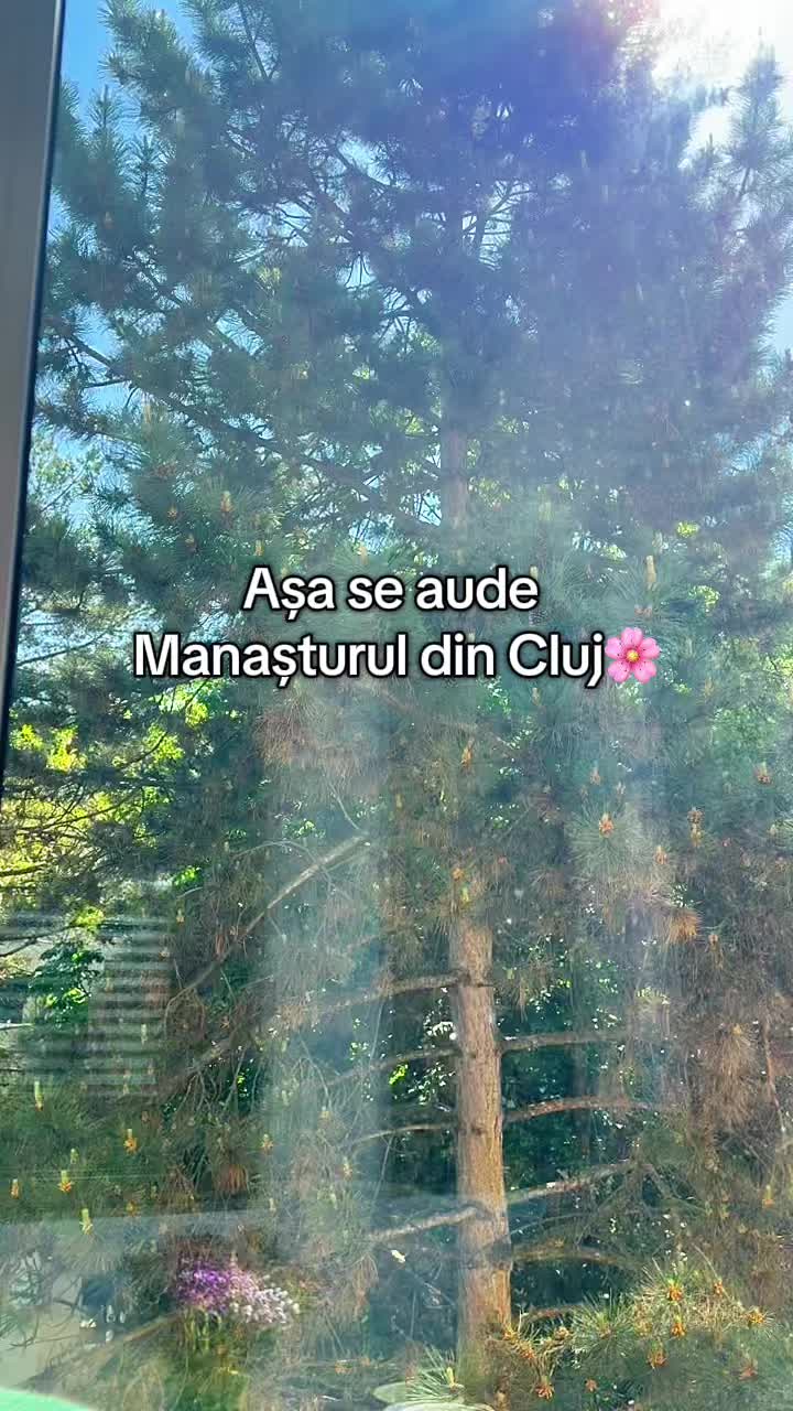 @Andrnt
