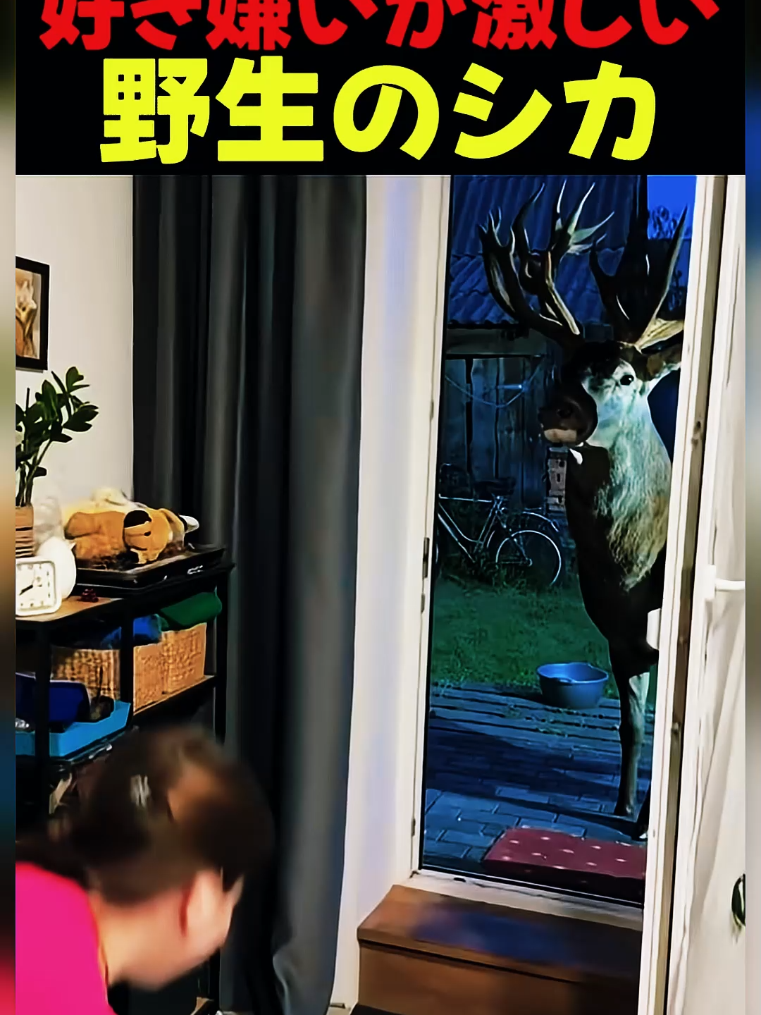 @ujhkolvqg00