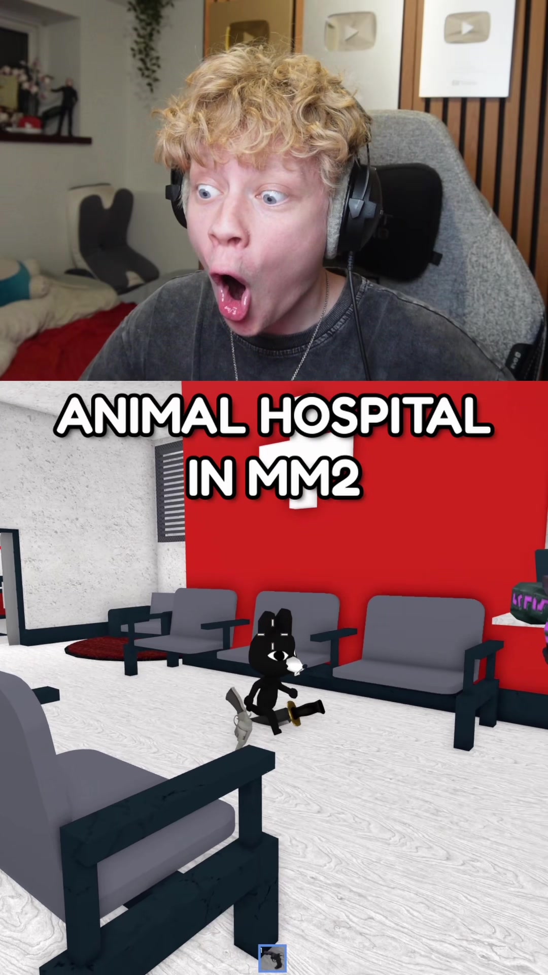@focusrbx