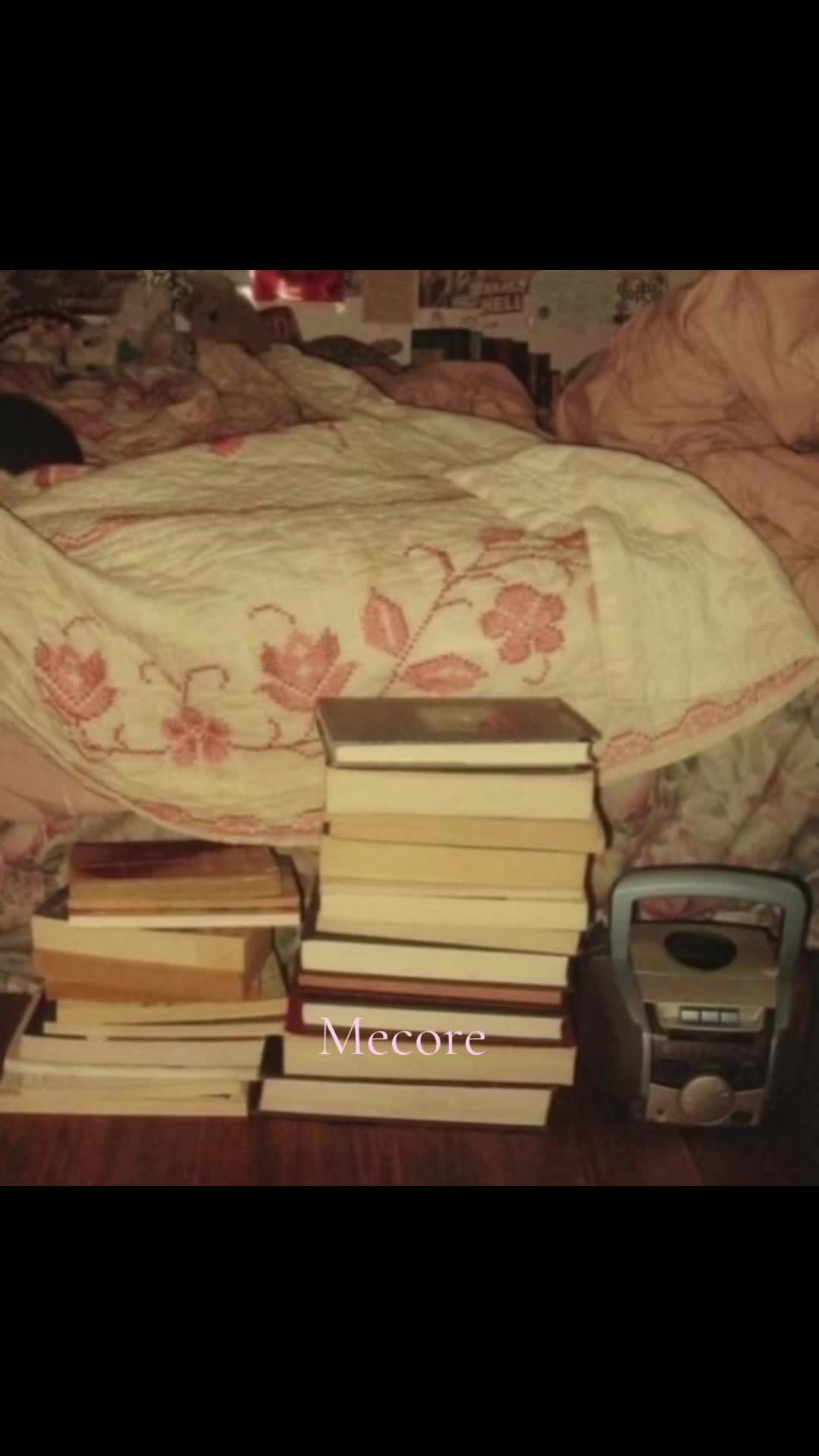 @‧₊˚ 🪷 . 𓂃