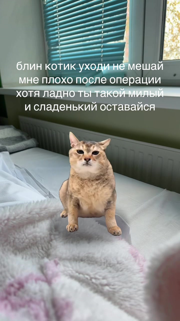 @ваемаа