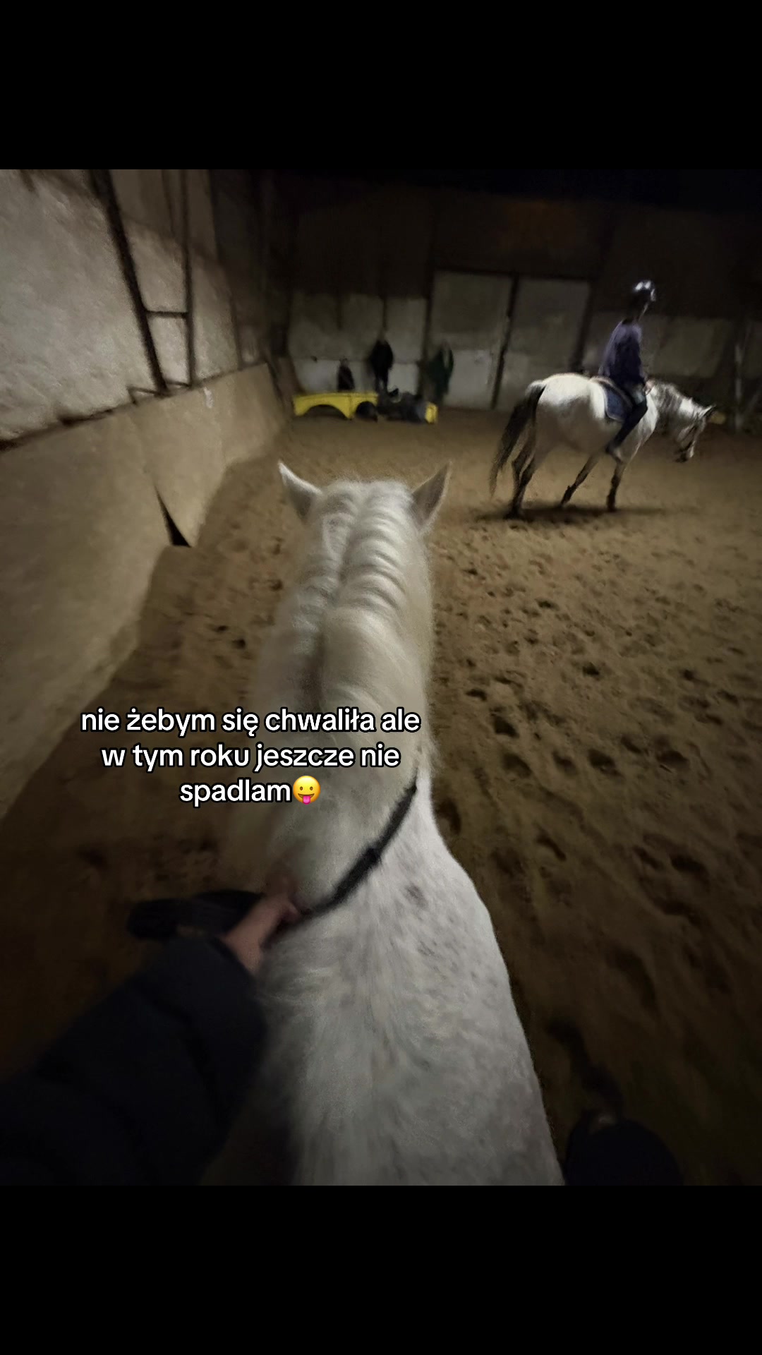 @l.equestrian🪽