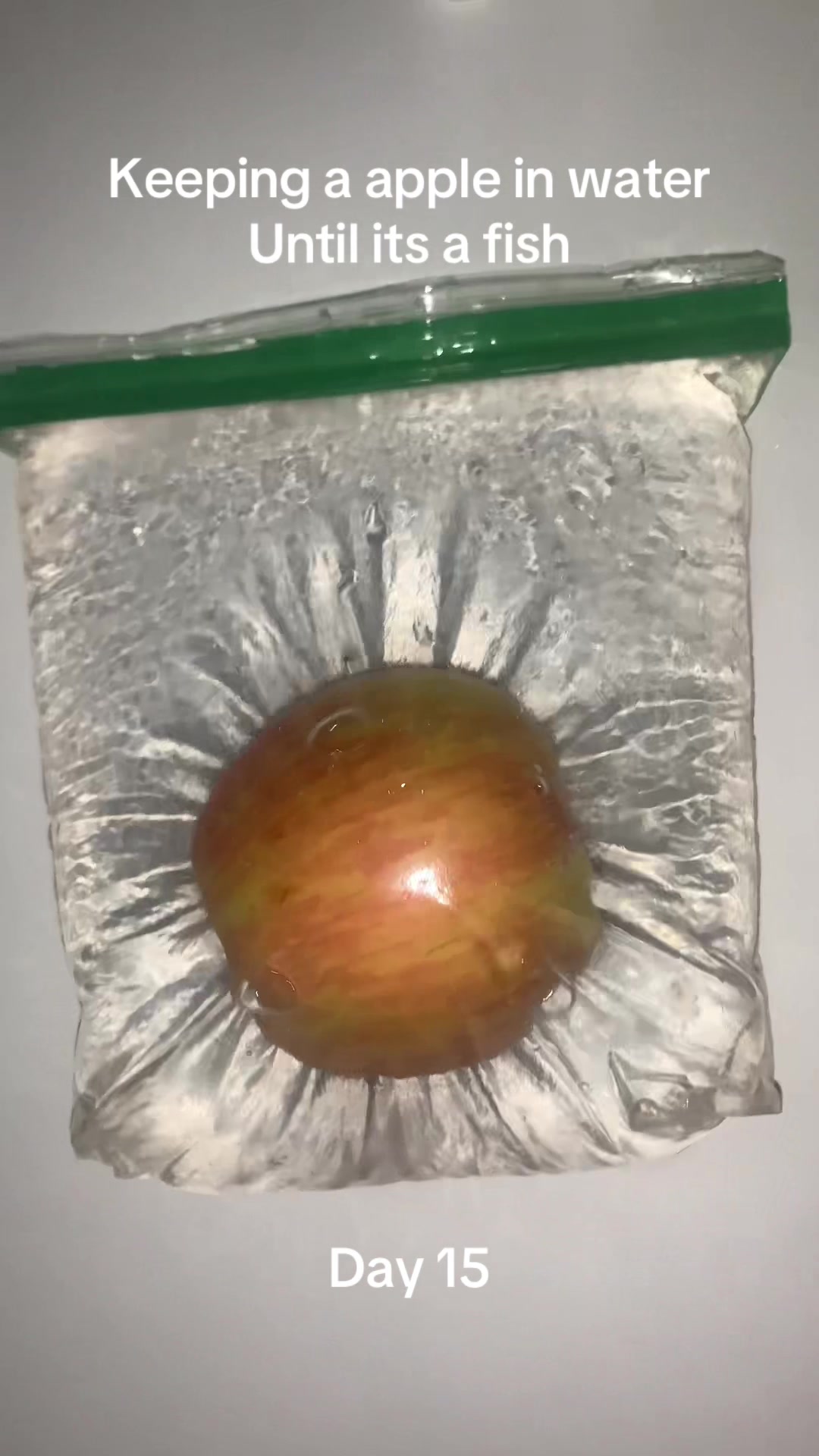 @ve0ck