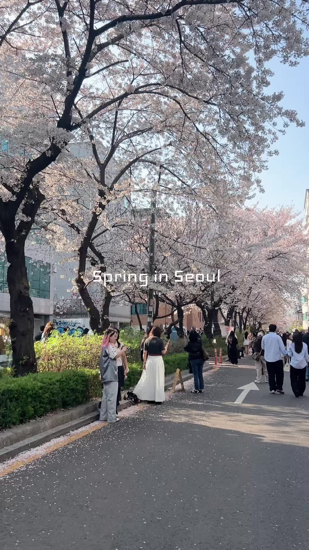 @bb🧚♀️