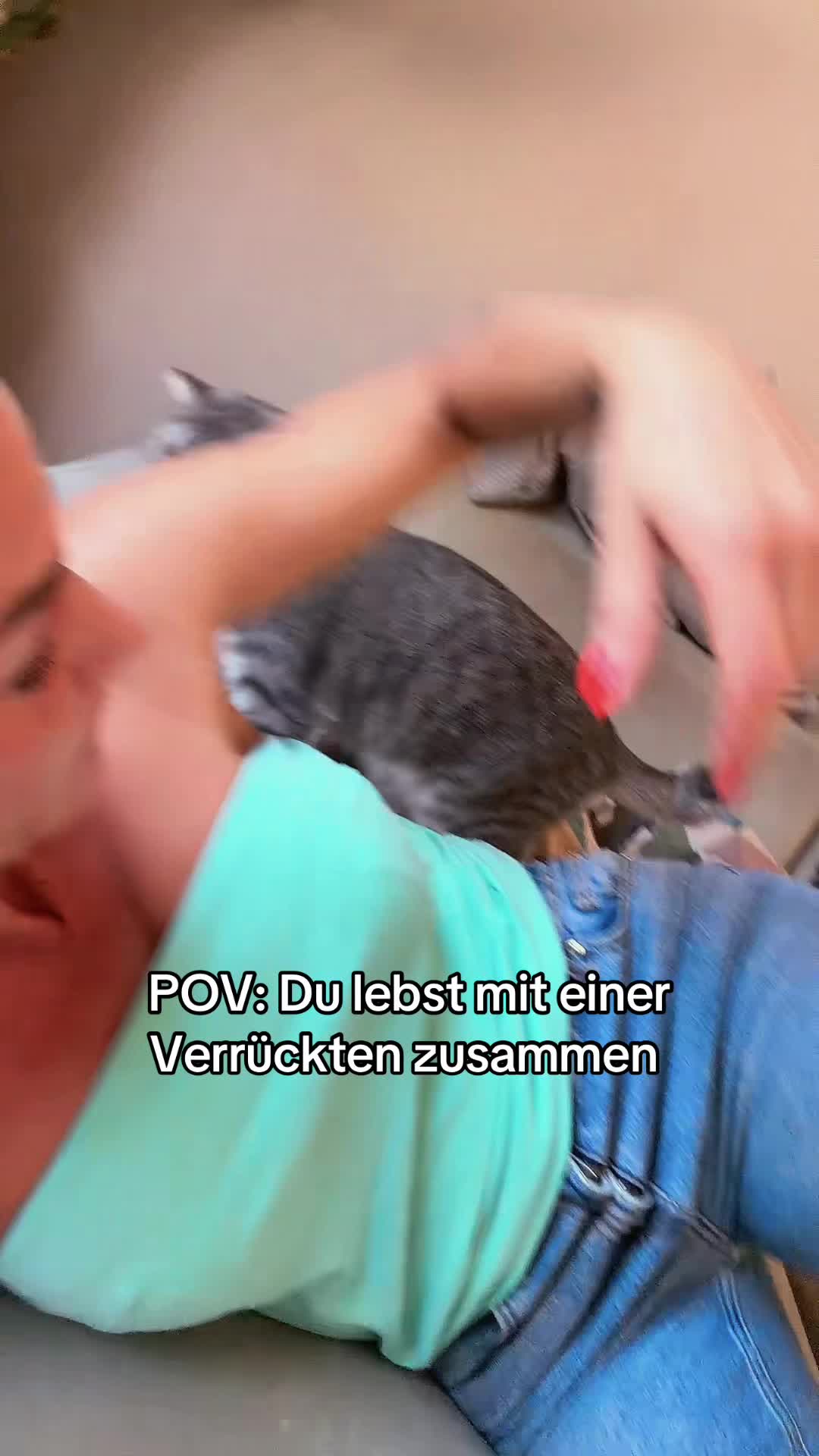 @Oscar & die Katzenbande