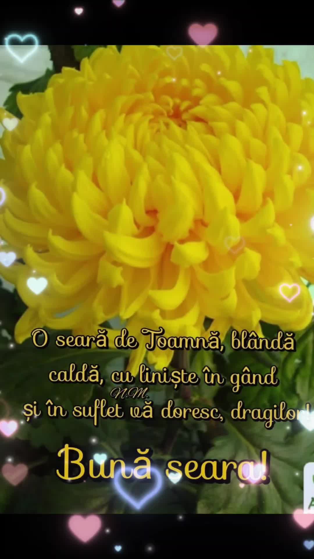 @Nicolae Iamandi Marin