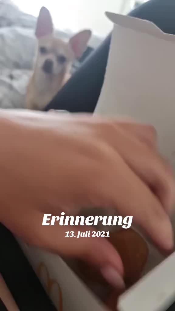 @EinfachJenny90