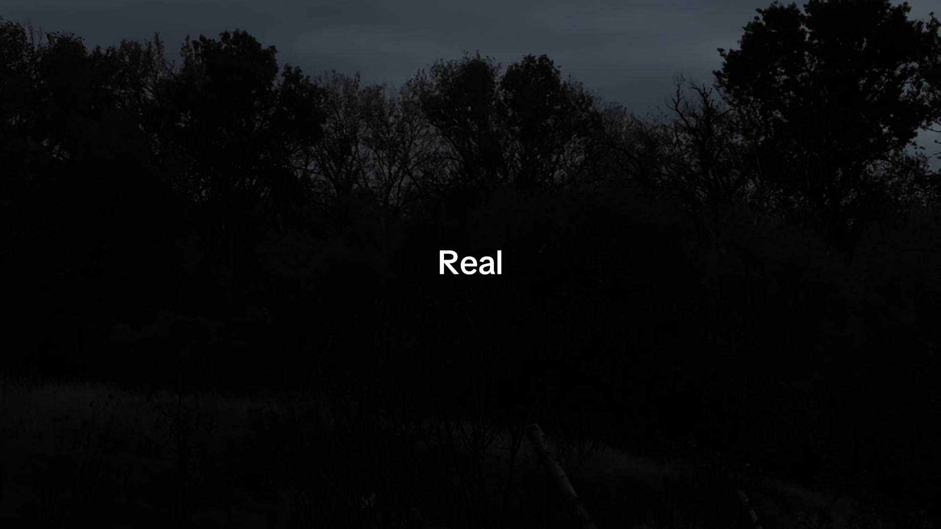 @𝗩 𝗲 𝗻 𝘀 𝗸 𝗮 𝗶 𝗟𝗶𝗳𝗲