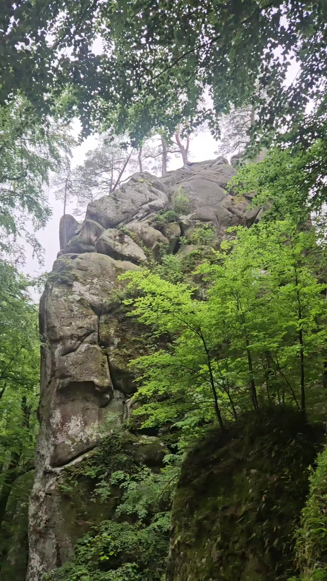 @Олександр