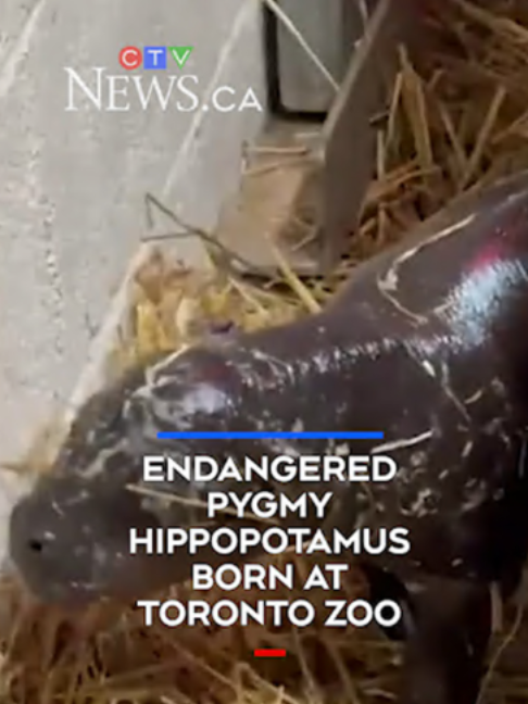 @CTVNews