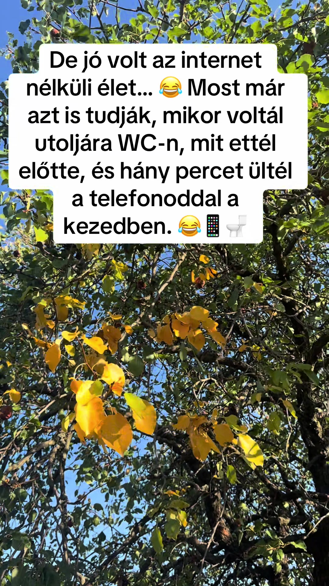 @Scuba a.k.a Esc