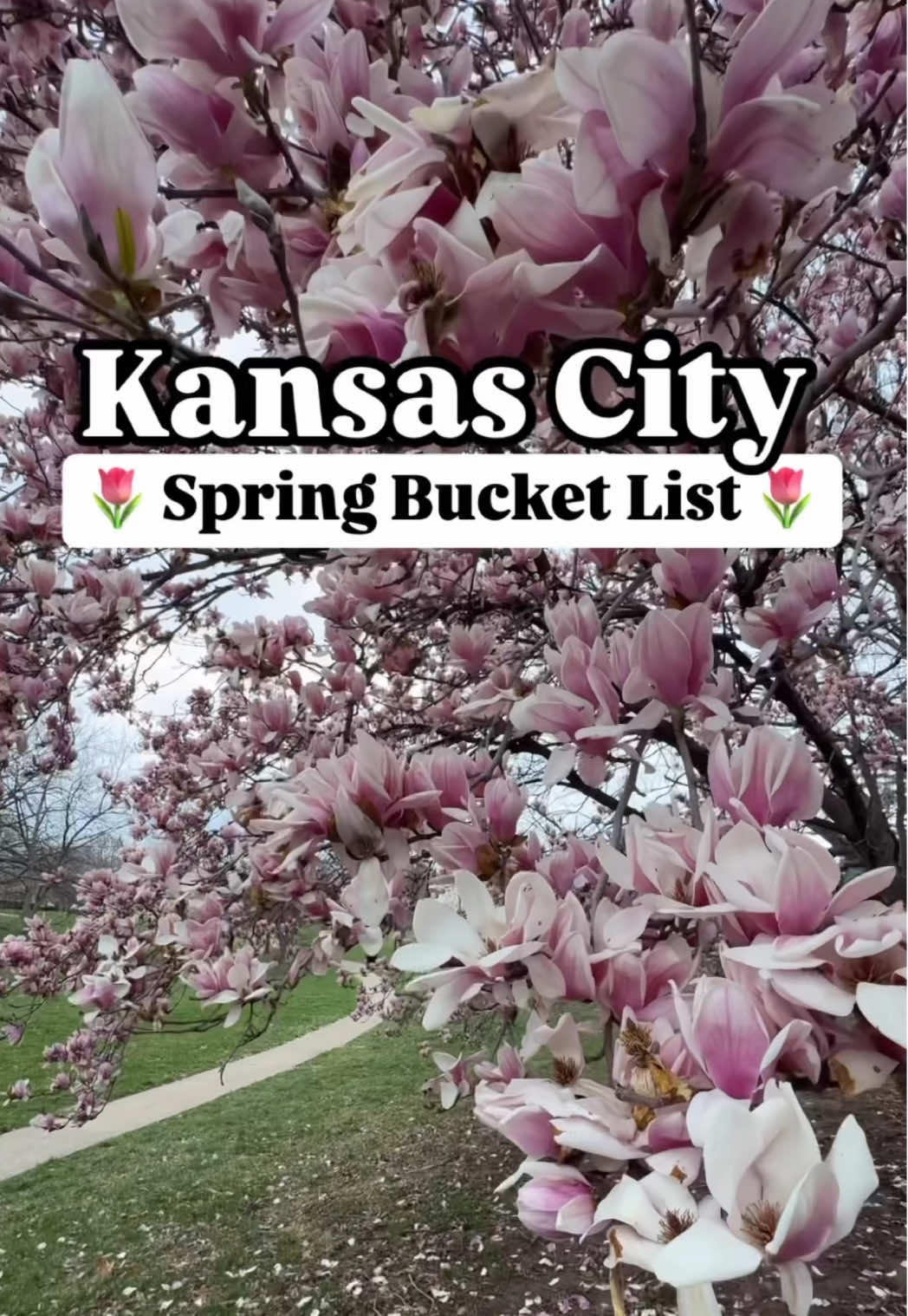 @Jana | Kansas City, Family Fun