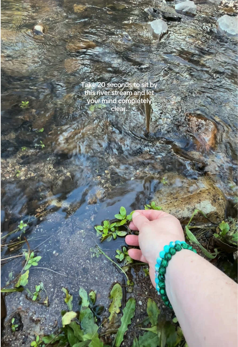 @Tara | Wanderlust 🍄🌿