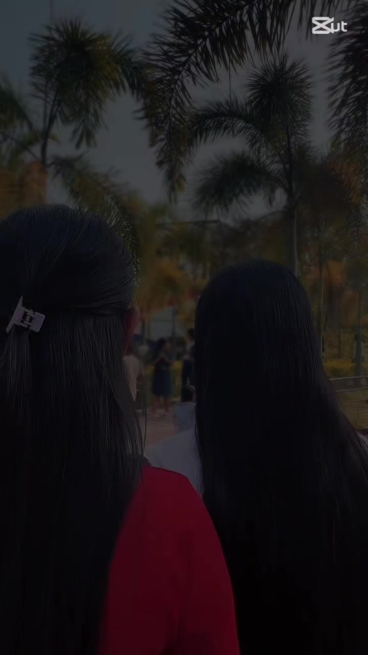 @✨