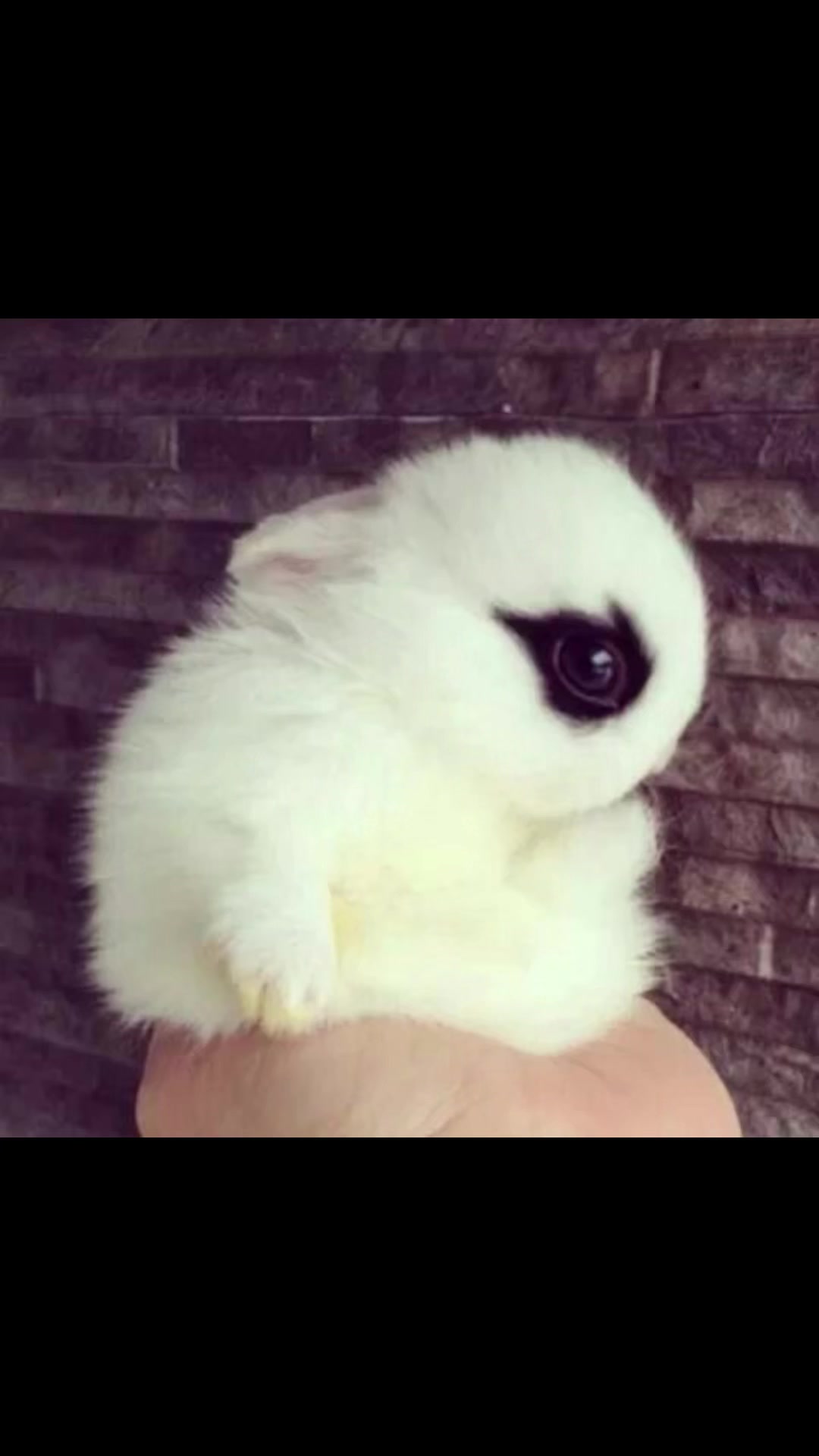 @hoshii.iiy