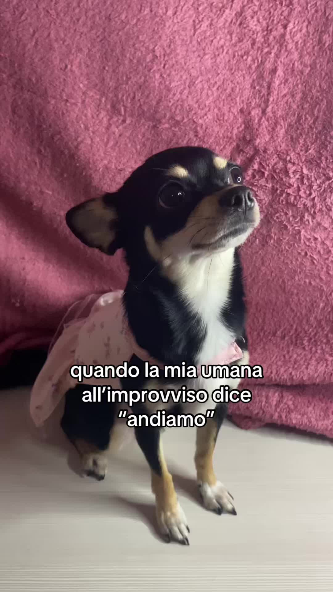 @Elena D&rsquo;Amico