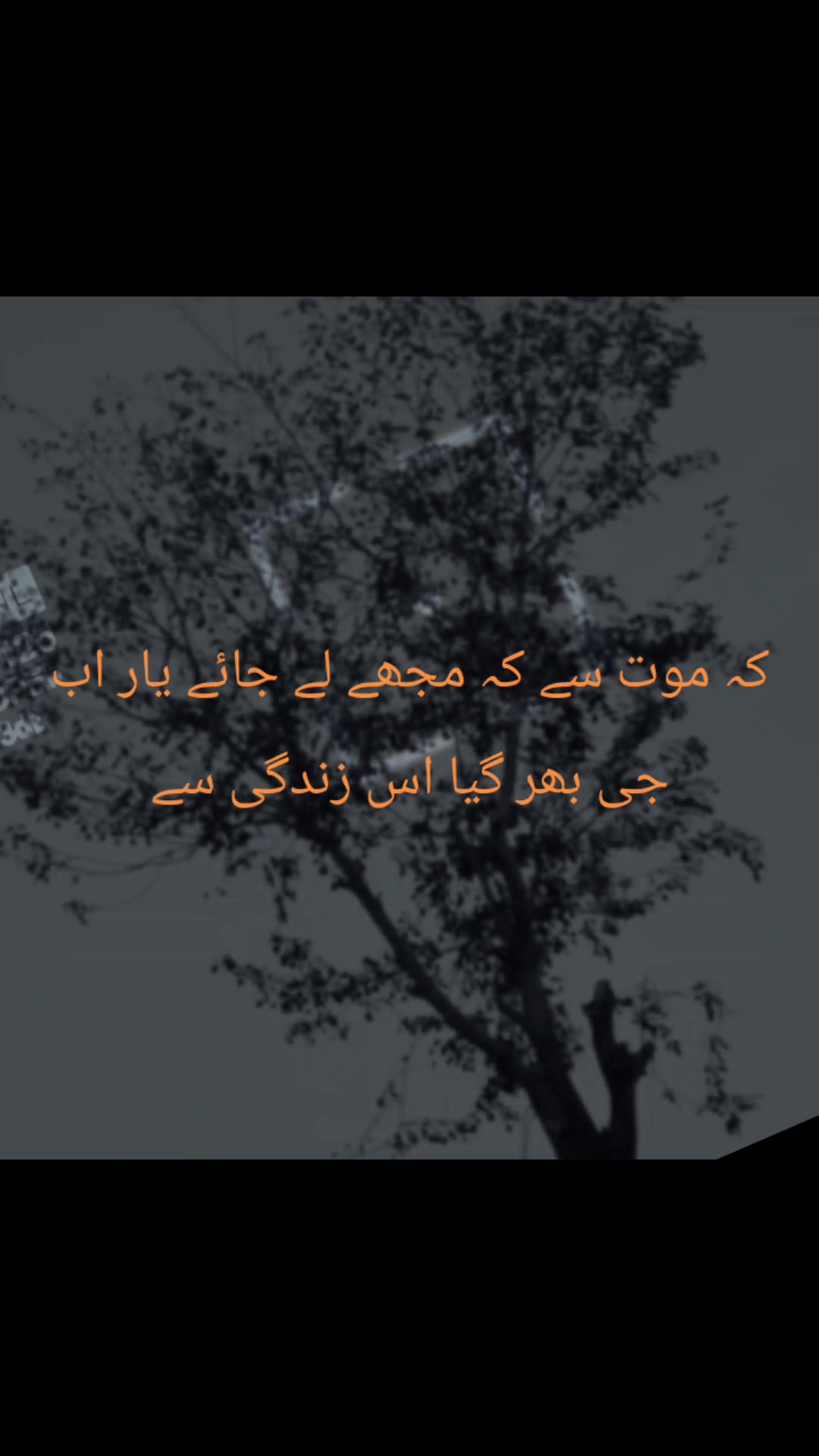 @Abu Sufyan