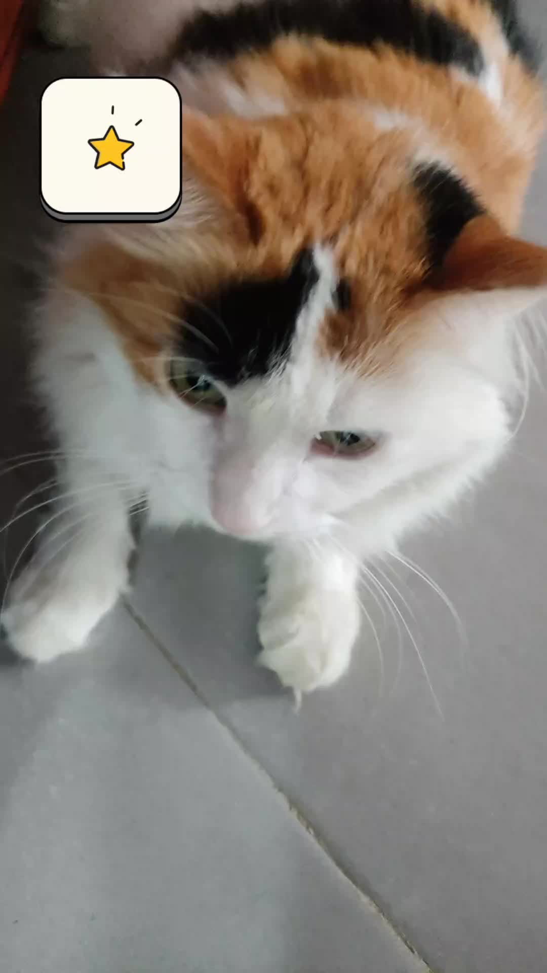 @Prince 🤴 nicotine 🐱nana
