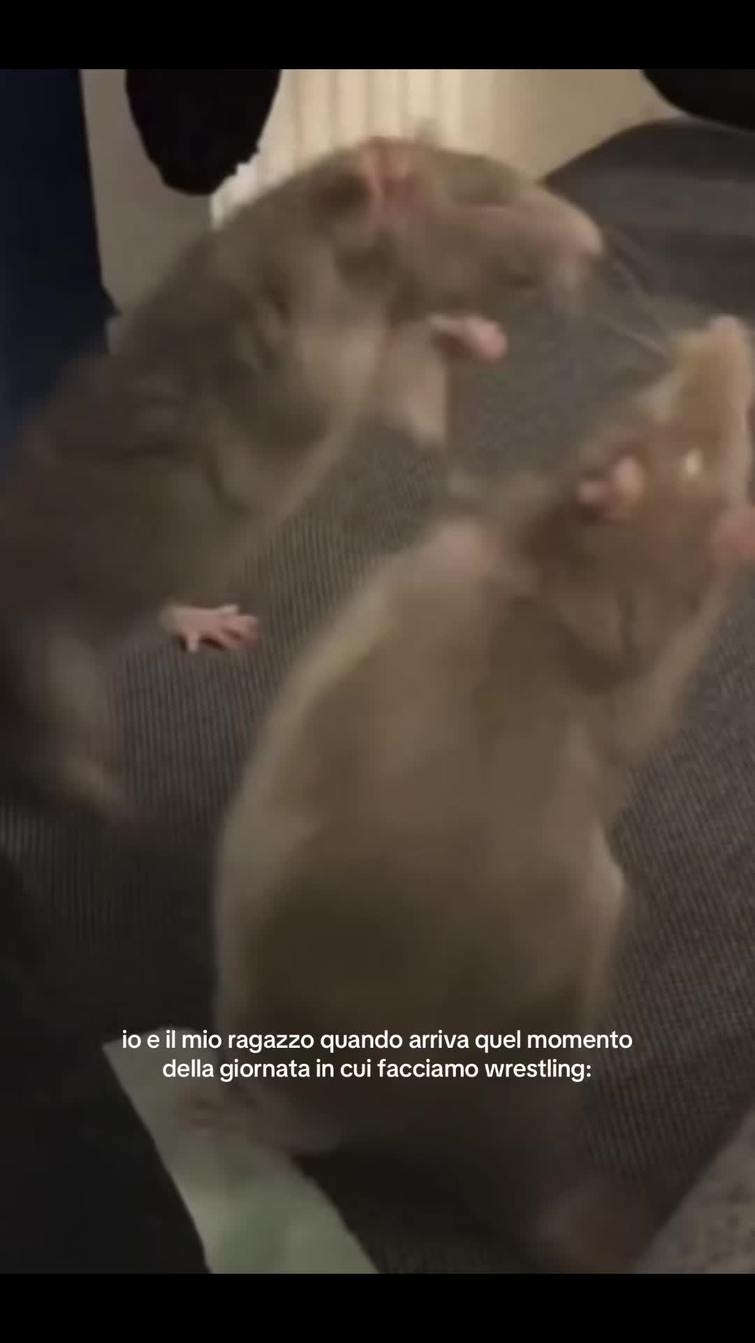 @secret
