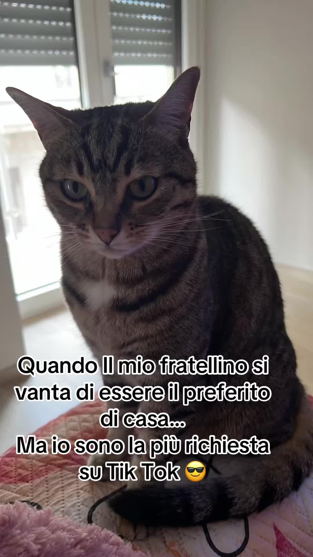 @Alessia&Donato