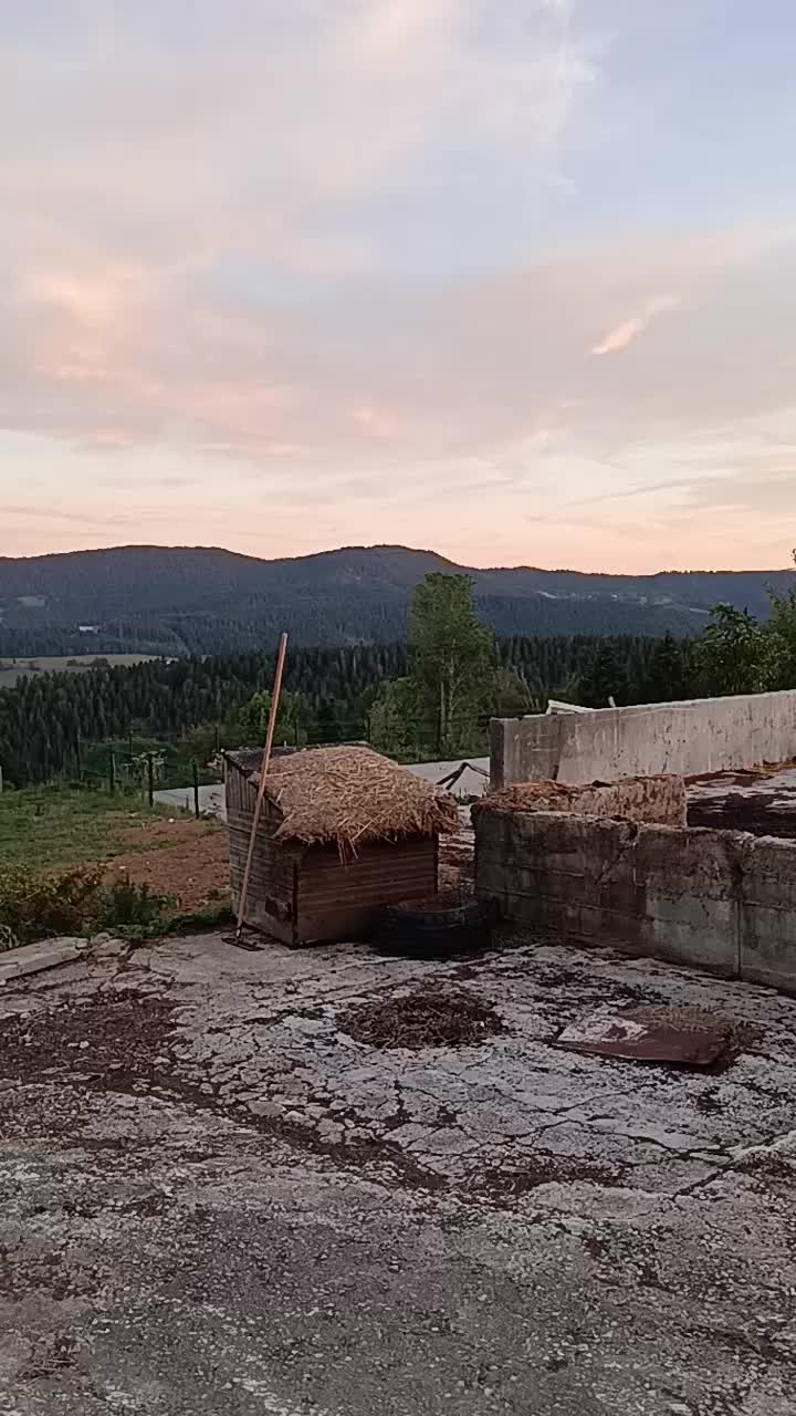 @Emirdaglim03Nurettin