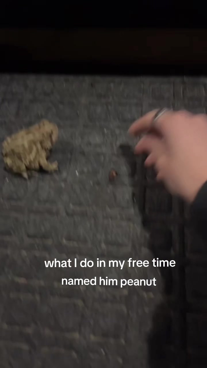 @Liv