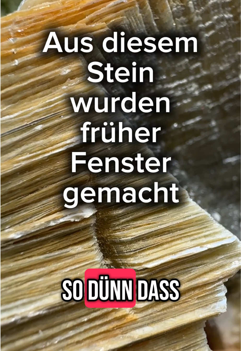 @gembag