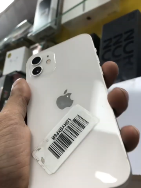 @THE WILD STORE 📱