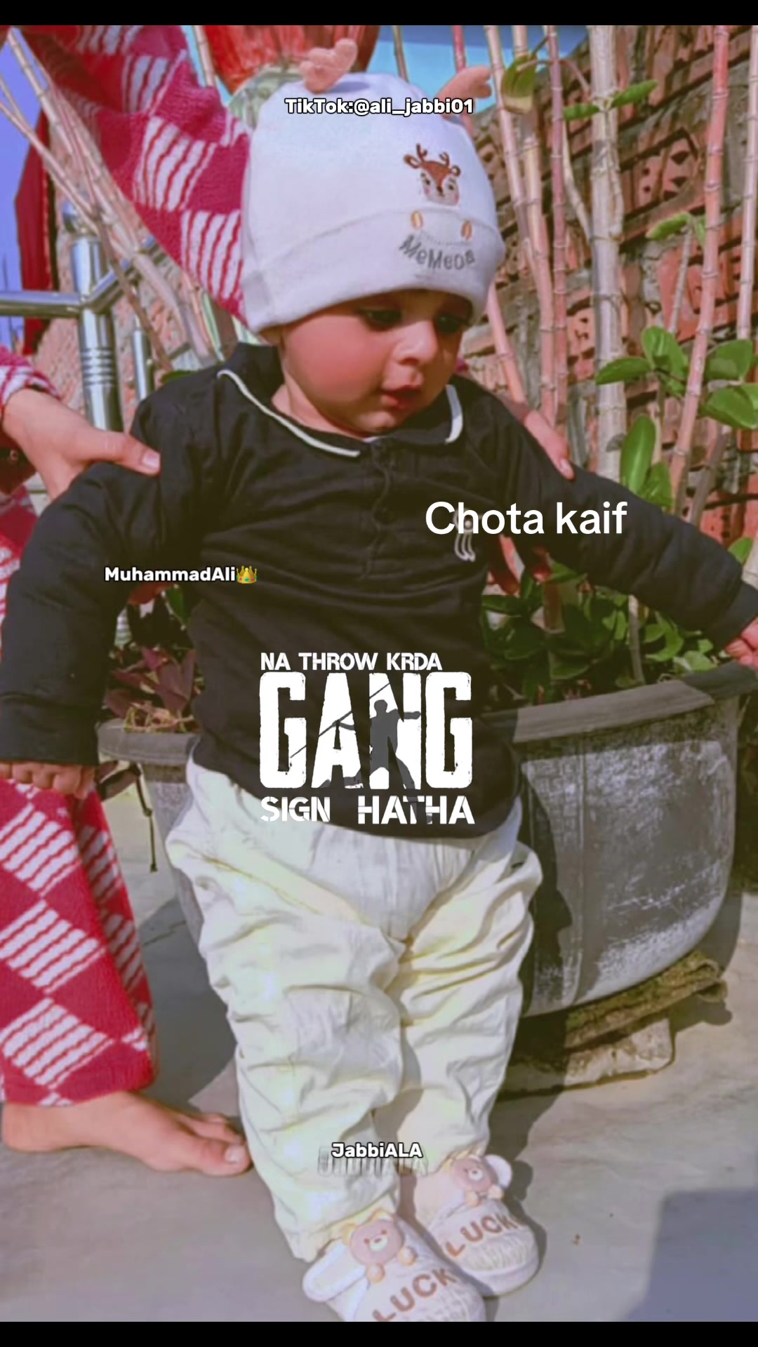 @Mr kaifu82