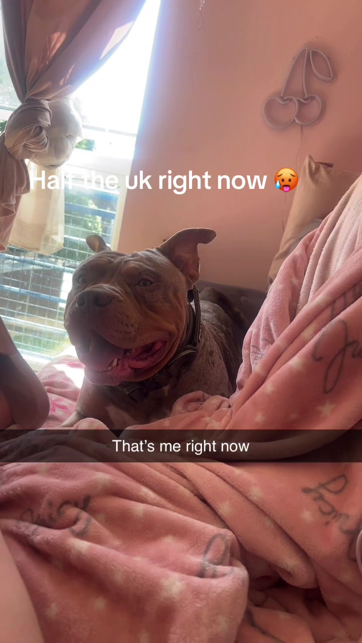@Demi Marie 💕