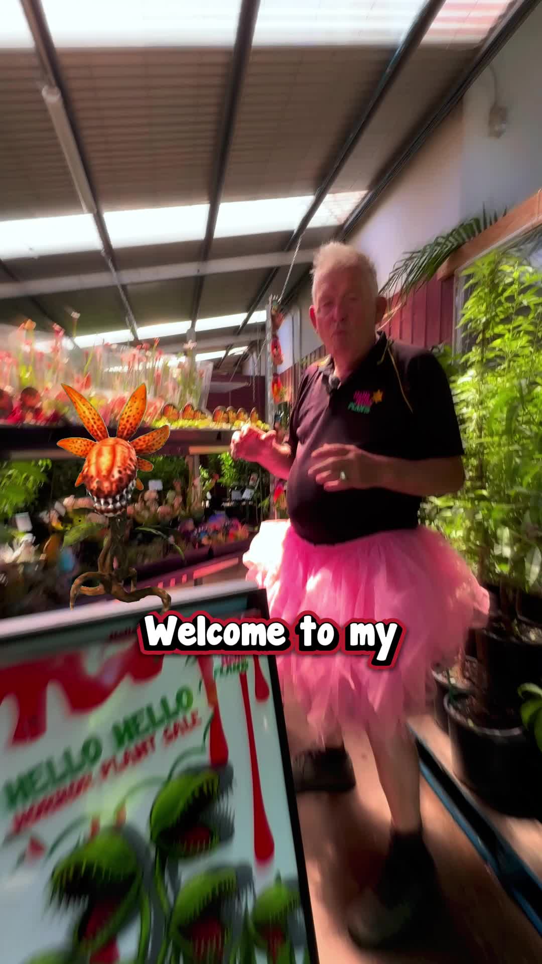 @Hello Hello Plants Nursery