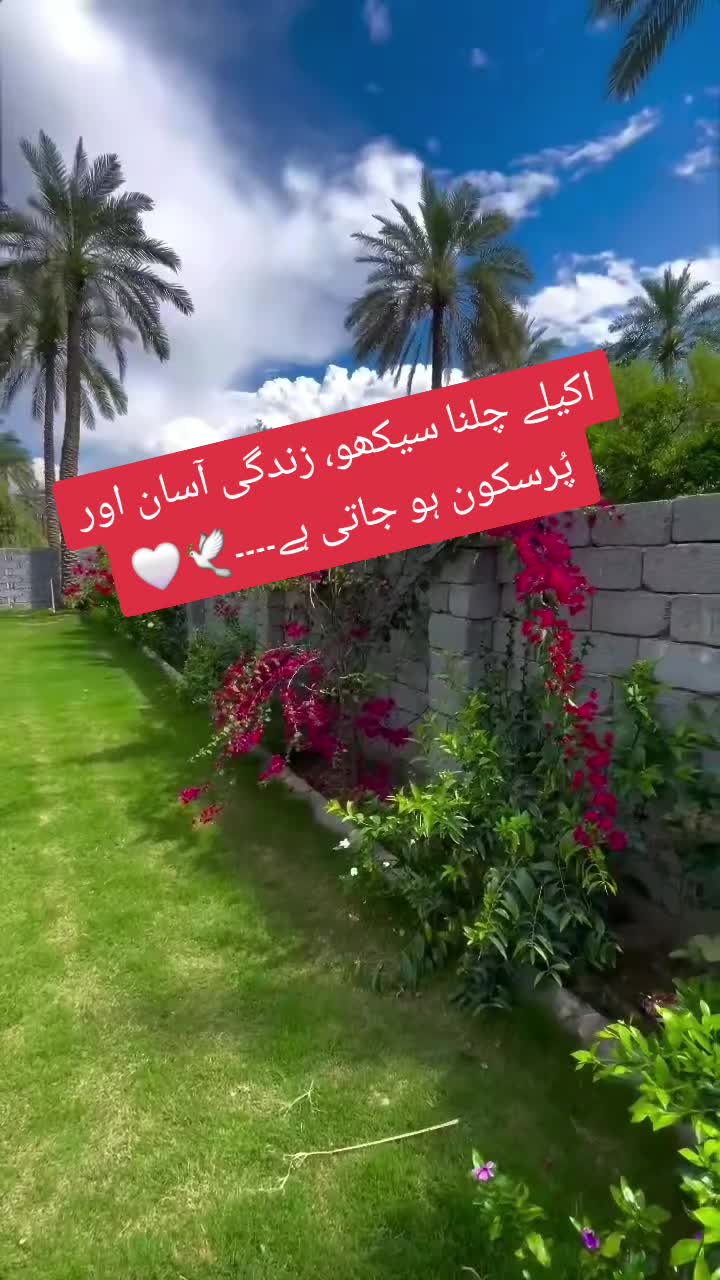 @Misses ALi Chaudry1