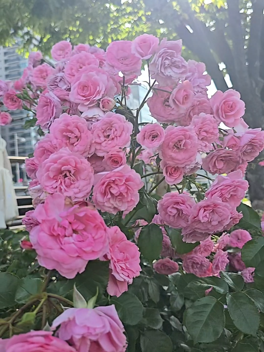 @竜一