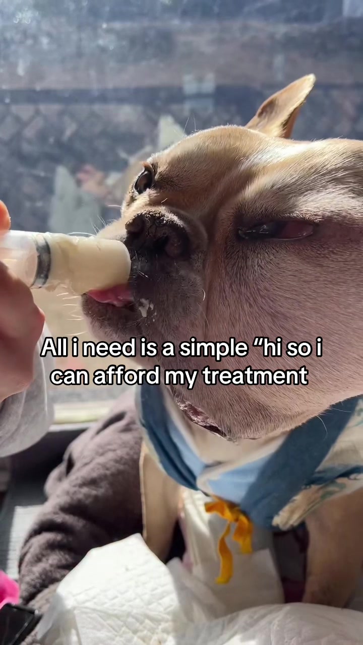 @Surgery for Lucy0
